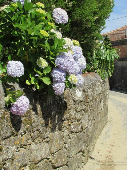 Immer der Mauer entlang