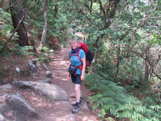 Wir riechen den Eukalyptus und hören das Rauschen eines Bachlaufs.