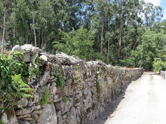 Weiter den Mauern folgen.