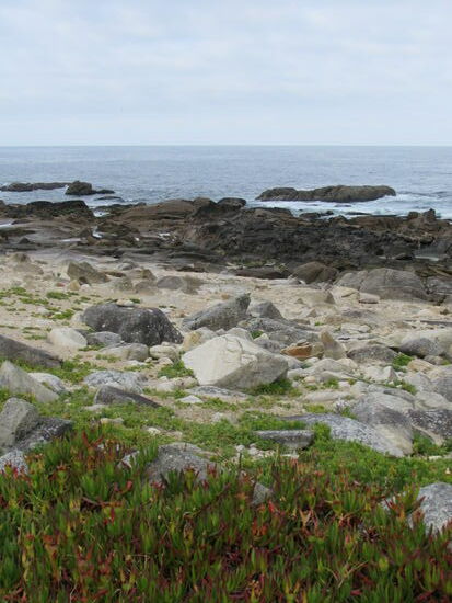 Nun sind es nur noch wenige Kilometer entlang der Küste.. Ich werde daß Meer und die rauhe Küste vermissen.