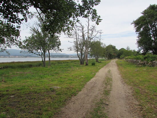 Immer am Fluss entlang