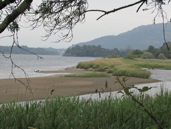 Der Fluss verändert ständig sein Bild und ich genieße es hier ganz allein unterwegs zu sein - Stille.
