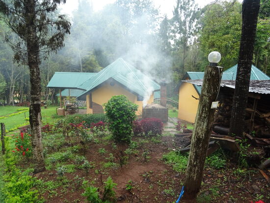 Bungalow's in der Lodge