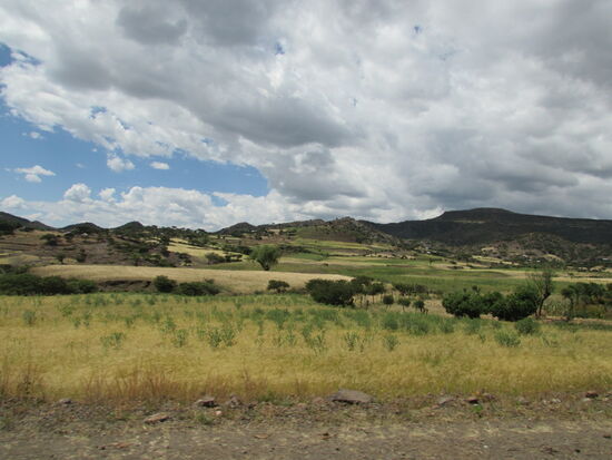 Auf der Fahrt vom Flughafen zum Hotel