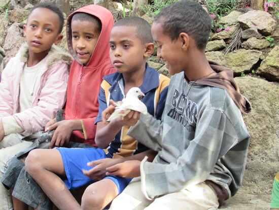 Tesfahun und eine seiner Tauben