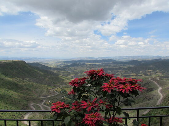 Blick von der Terasse