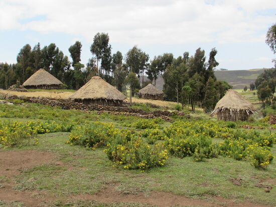 Es ist alles so herrlich grün