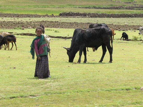 Kinder die das Vieh hüten sind hier Alltag