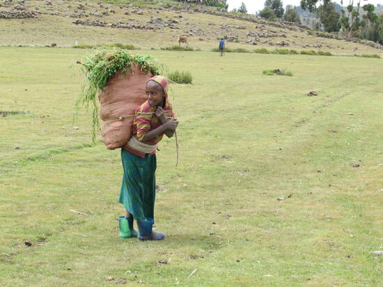 Schwere Arbeit für ein Kind