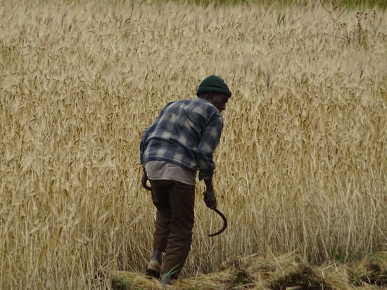 Alles ist Handarbeit