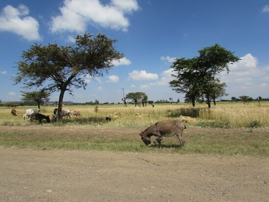 Unterwegs zu einer Felsenkirche