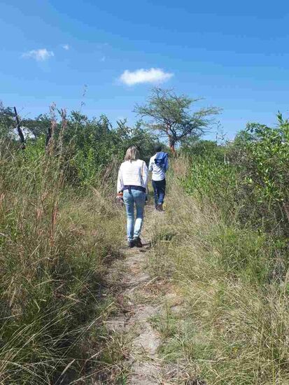 Die Wege zur Ausgrabunsstelle sind ziemlich eingewachsen.