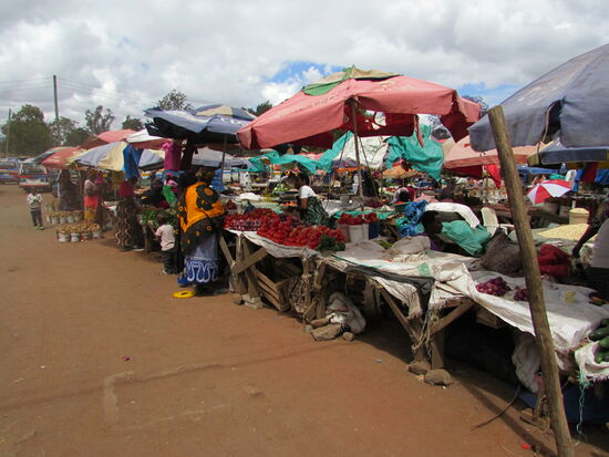 Das Angebot ist reichhaltig