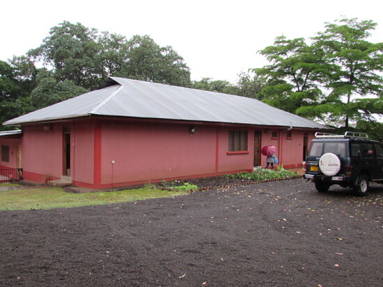 Dort haben die Babys ein Zuhause gefunden.