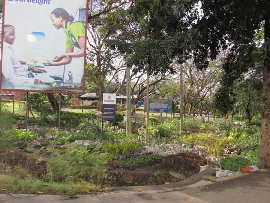 Wir sehen auffallend viele Gårtnereien entlang der Straßen.