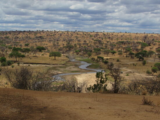 Blick auf den Tangiri