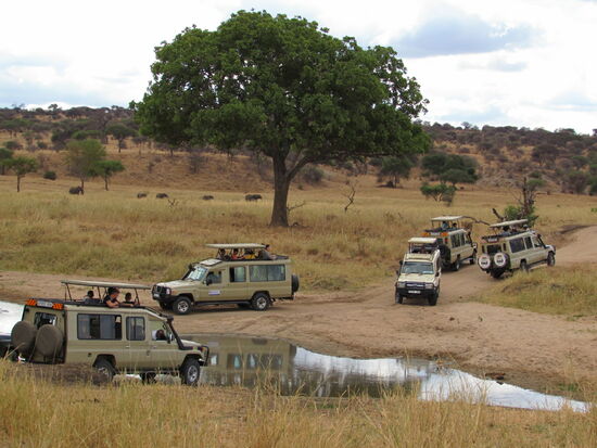 Natürlich waren schnell viele Jeeps zur Stelle