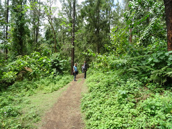 Zunächst geht es entspannt weiter.