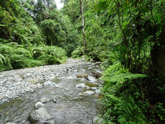 Geschafft, wir sind am Fluss angekommen.
