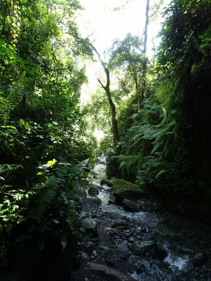 Es ist unglaublich schön 