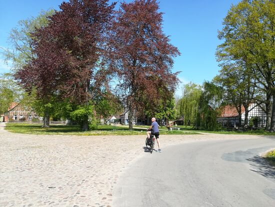 Wunderschön sind auch die alten Bäume die mit ihren Schattenplätzen zu einer Pause einladen.
