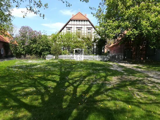 Nur wenige Kilometer weiter kommen wir nach dem Ort Schreyahn. Auch hier fühlen sich Künstler Zuhause.