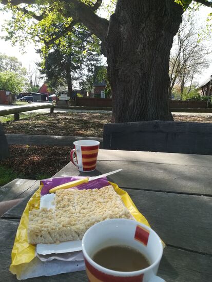 Unter der alten Eiche von Küsten machen wir Kaffee- Pause.