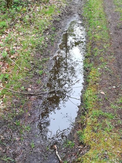 Spiegelungen in den Pfützen