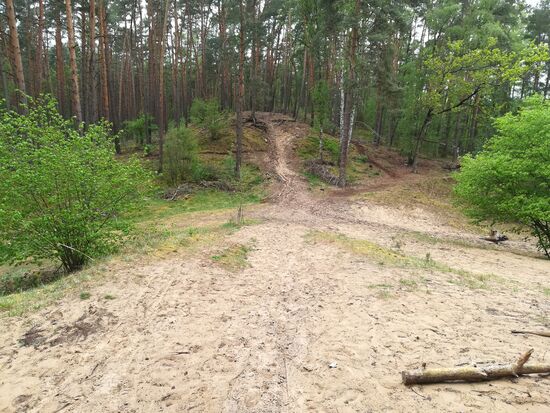 Das sind sie, die Sanddünen. Nicht besonders spektakulär, aber interessant mal etwas davon gehört und gesehen zu haben.