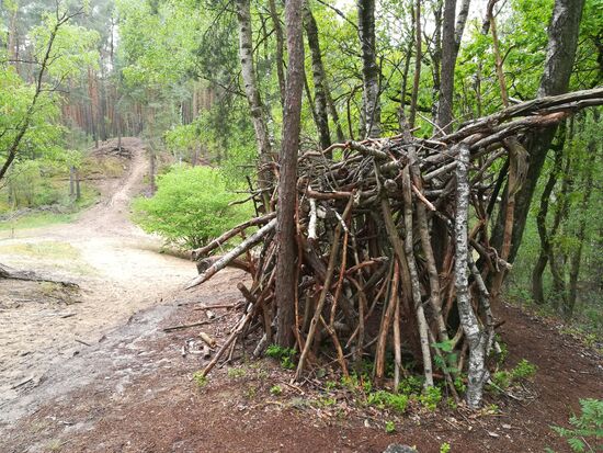 Eine Waldhütte