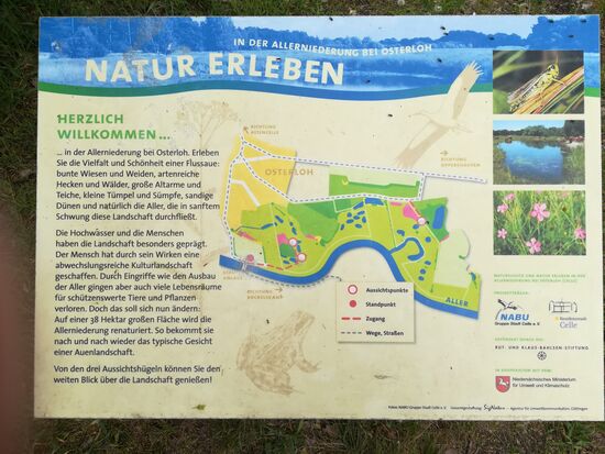 Dann sind wir direkt am Ufer der Aller