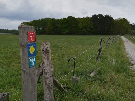 Wir sind noch auf dem richtigen Weg - verlaufen ist unmöglich