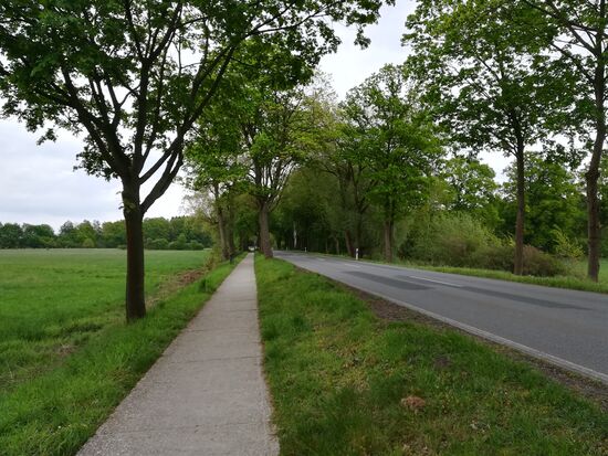 Die letzten 1,5km verlaufen parallel zur Straße direkt bis zum Kloster.
