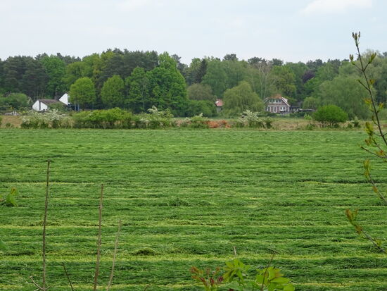 Blick auf Osterloh