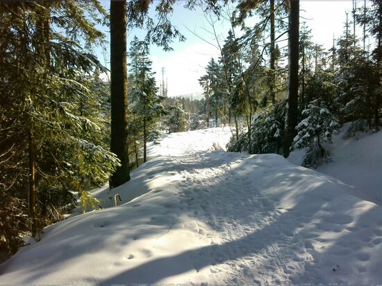 Den Spuren nach zu urteilen, sind wir nicht allein unterwegs.