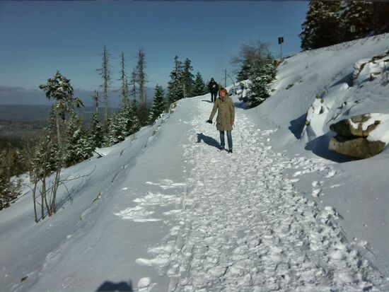 Immer den Spuren nach 