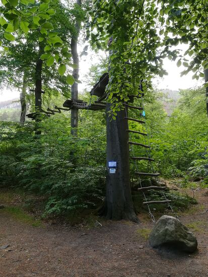 Auch ein Kletterpark steht zur Verfügung.