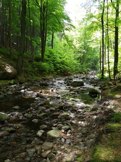 Der Fluss bietet immer neue Fotomotive. Es ist einfach nur schön hier zu wandern.
