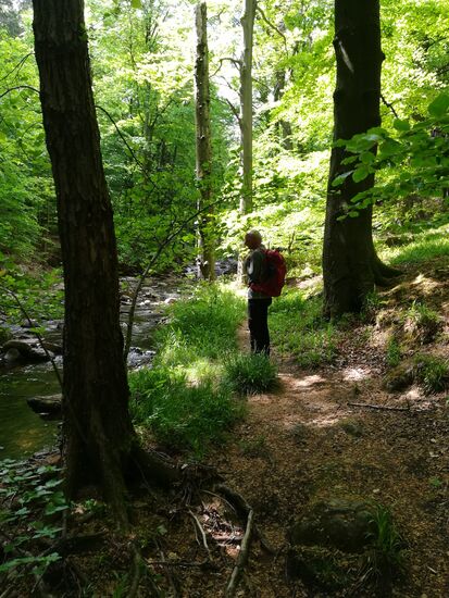 Auf einem schmalen Trampelpfad geht es weiter.