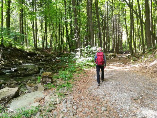 Bei jedem Schritt begleitet uns angenehm das Geplätscher der Ilse.
