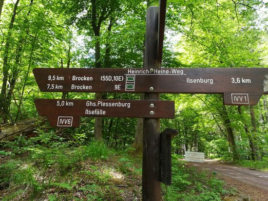 Das nächste Etappenziel sind die Ilsefälle.