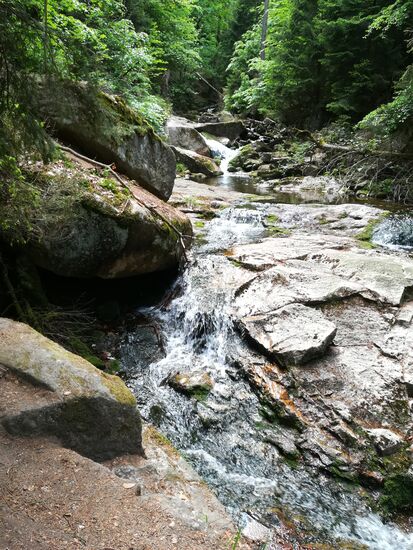 Hier kommt die Ilse etwas wilder daher.