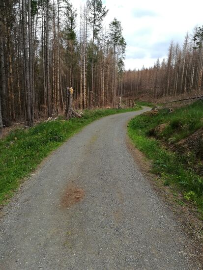 Diese Schotterpiste ist nun unser Weg.