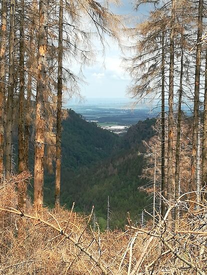 In der Ferne ist Ilsenburg zu sehen.