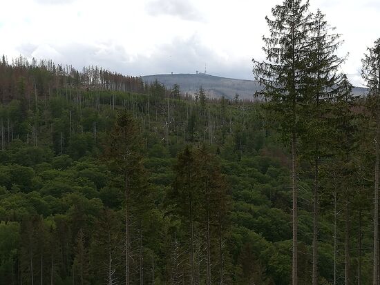 Von Plessenburg geht es nun zurück nach Ilsenburg. Doch vorher haben wir noch einen Blick auf den Brocken.