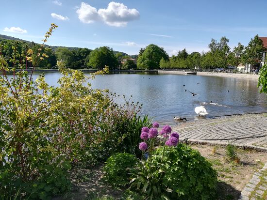 Im Zentrum ein kleiner See mit Parkanlage