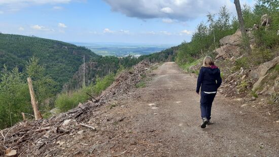 Der Weg von Plessenburg zurück nach Ilsenburg ist streckenweise nicht sonderlich reizvoll.
