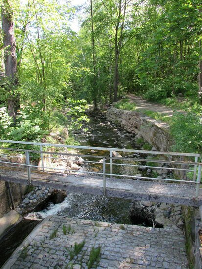 Das Flüsschen Hohltemme