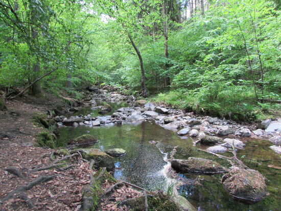 Wir lieben die felsigen Flußläufe des Harzes.
