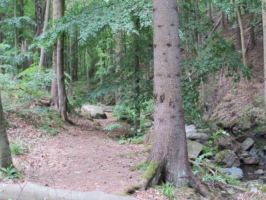 Der Wanderpfad führt zunächst parallel zum Fluß.